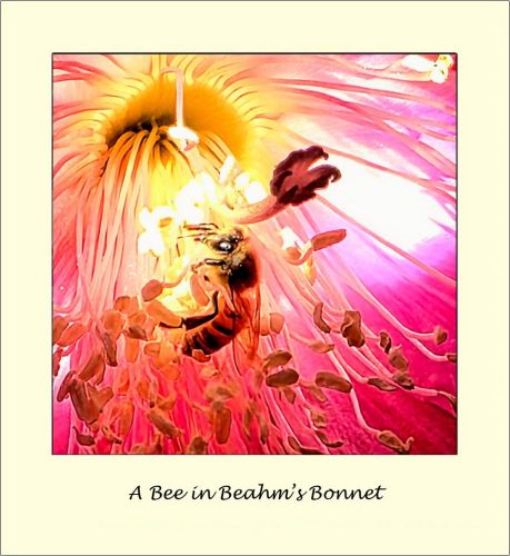 Photographer   Jeff Hendershot