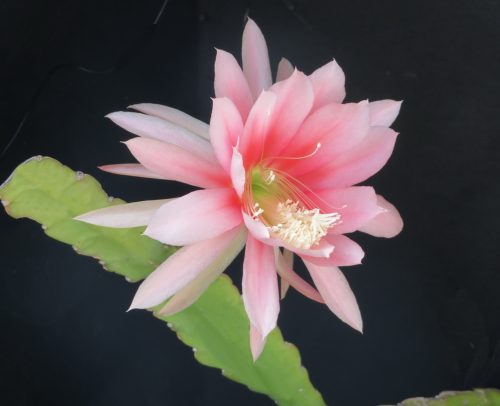 Photographer   Gail Hatfield