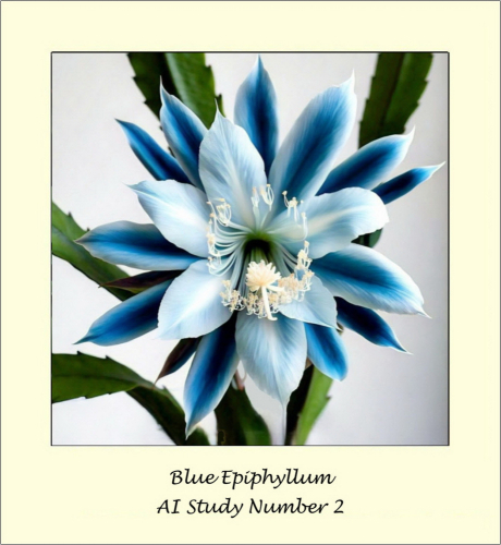 Blue Epiphyllum AI Study 2 