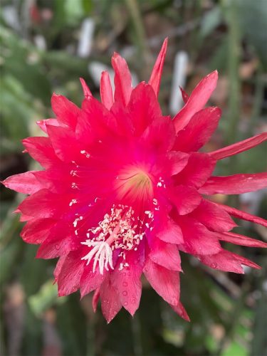 Photographer    Doug Hillman