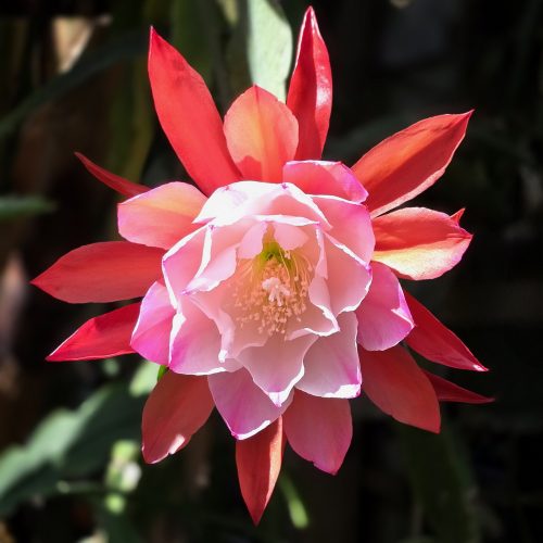 Photographer   Jeff Hendershot