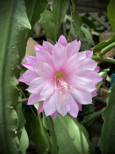 Photographer    Doug Hillman