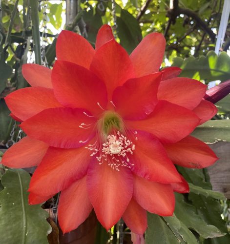 Photographer    Doug Hillman