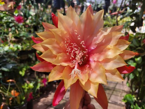 Photographer    Anna Lee