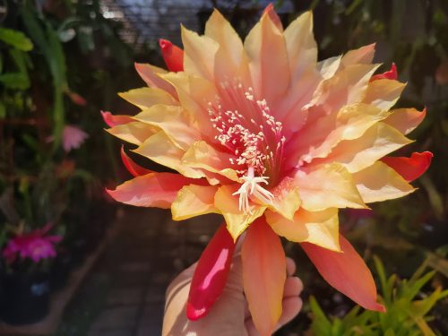 Photographer    Anna Lee