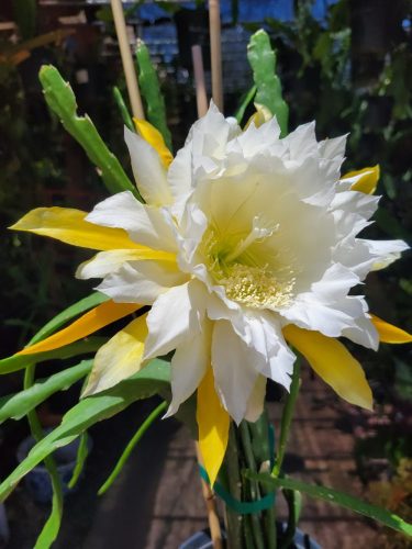 Photographer    Anna Lee