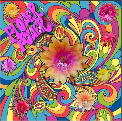 Photographer    Doug Hillman