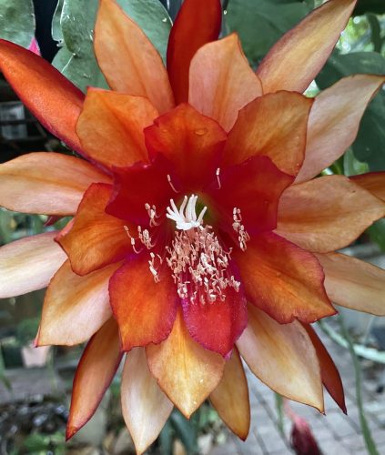 Photographer    Doug Hillman