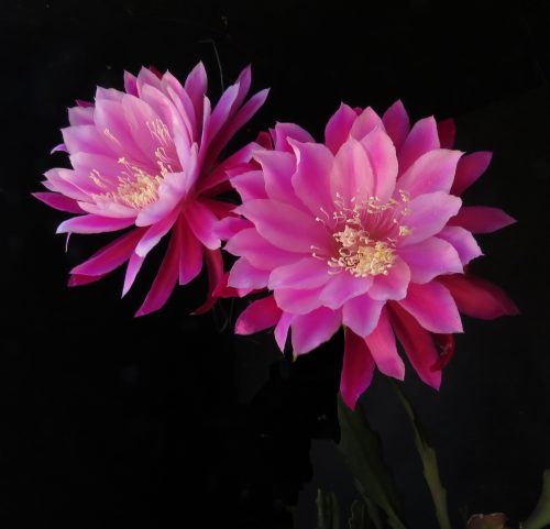 Photographer   Gail Hatfield