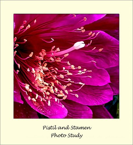 Photographer   Jeff Hendershot