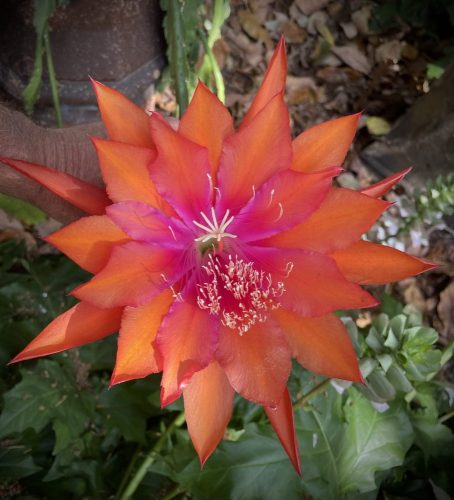 Photographer    Doug Hillman