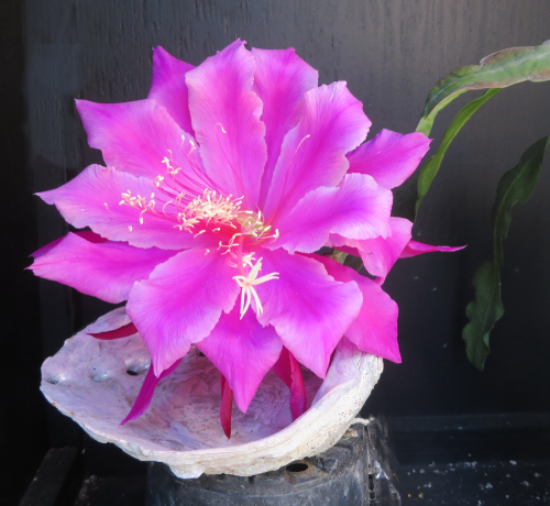 Photographer   Gail Hatfield