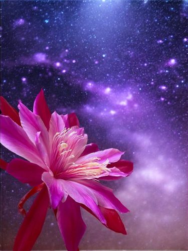 Photographer    Doug Hillman