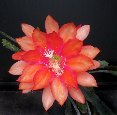 Photographer   Gail Hatfield