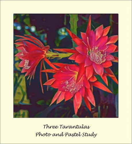 Photographer   Jeff Hendershot