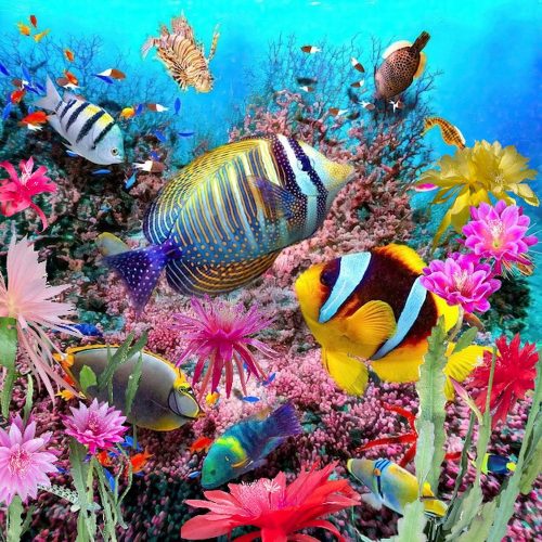 Photographer    Doug Hillman